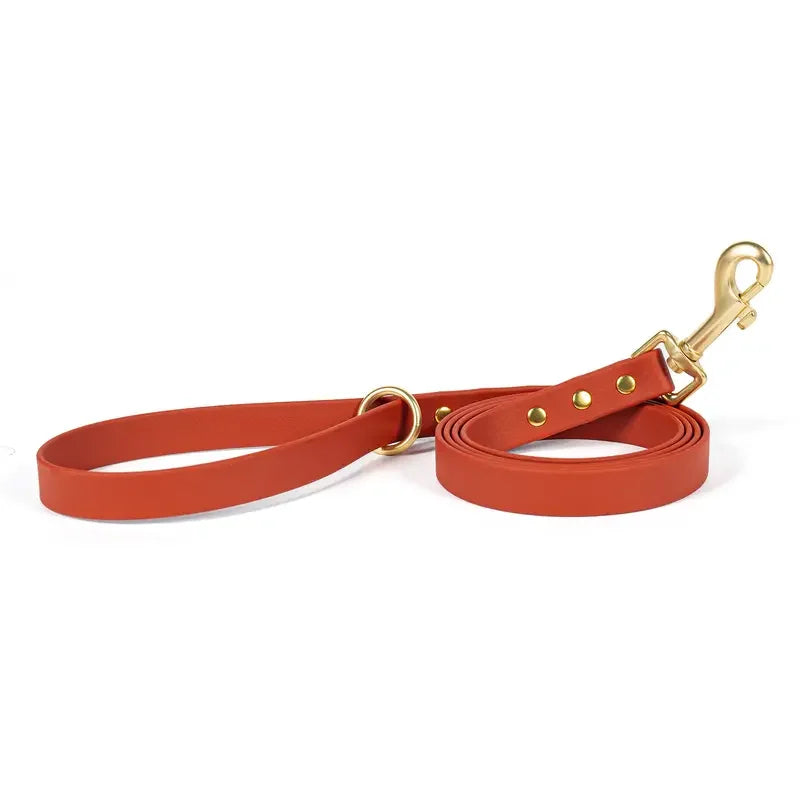 Dog Leash for Small Medium Large Dogs Walking,Easy to Use, Lightweight & Durable,Training Leash for Control Safety Training
