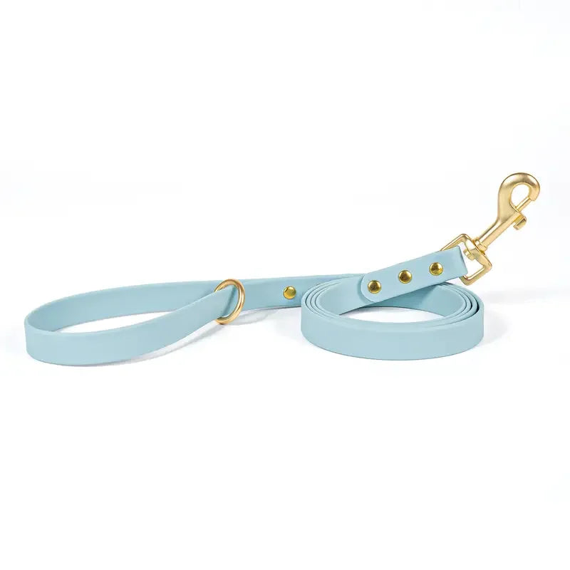 Dog Leash for Small Medium Large Dogs Walking,Easy to Use, Lightweight & Durable,Training Leash for Control Safety Training