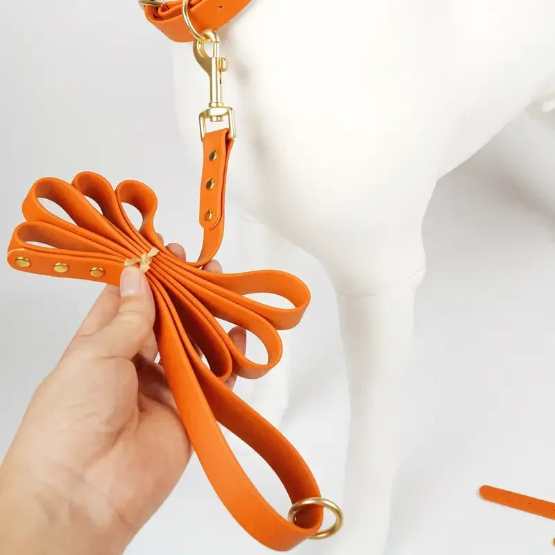 Dog Leash for Small Medium Large Dogs Walking,Easy to Use, Lightweight & Durable,Training Leash for Control Safety Training